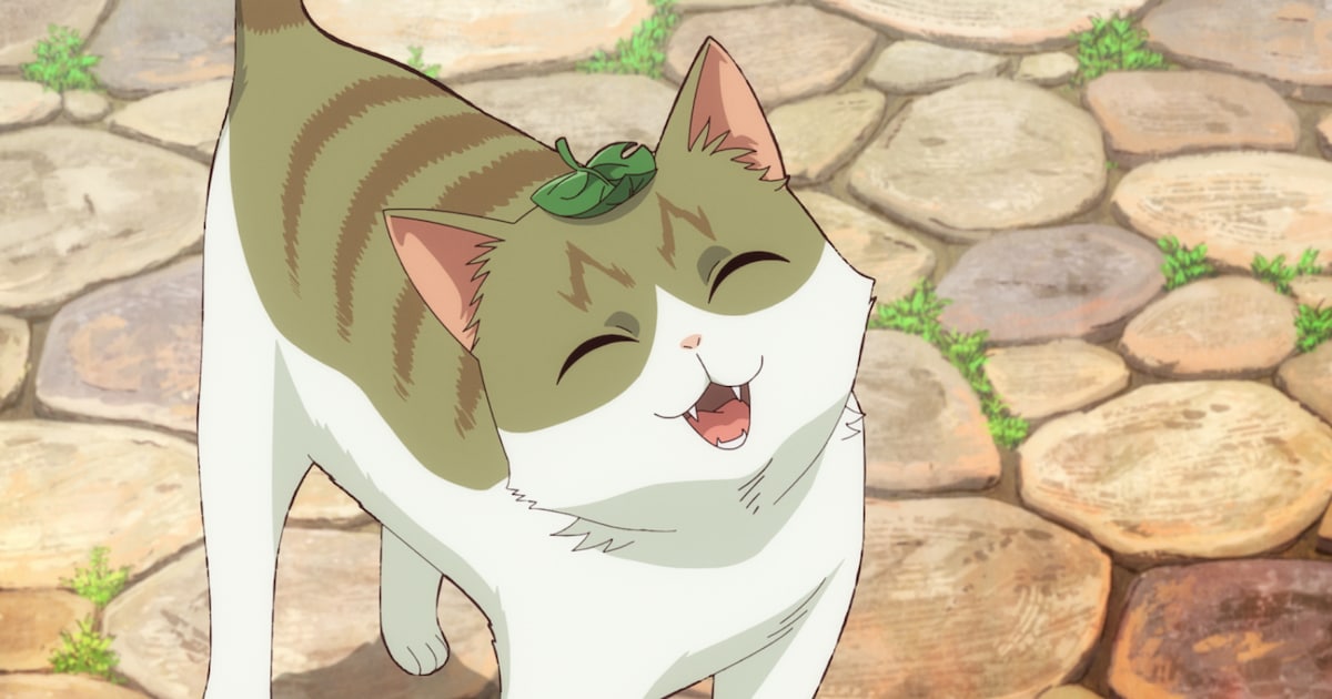 TVアニメ「猫と竜」追加キャストに芹澤優、小市眞琴、一条和矢 第1弾PVも